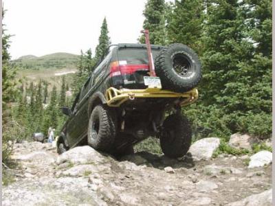 new leaf springs